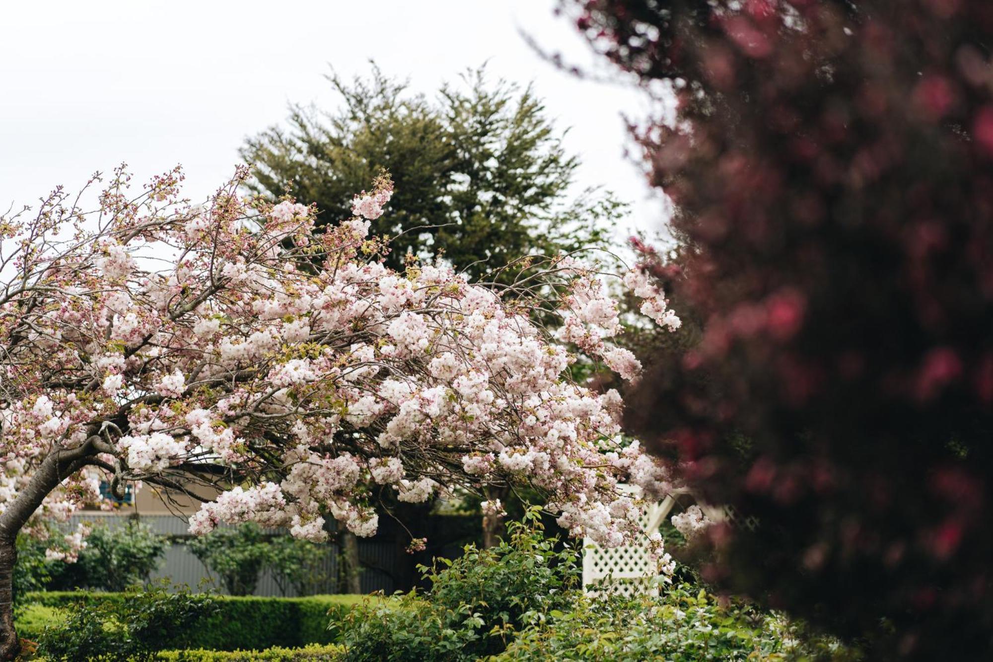 Brackenridge Country Retreat & Spa Martinborough Luaran gambar
