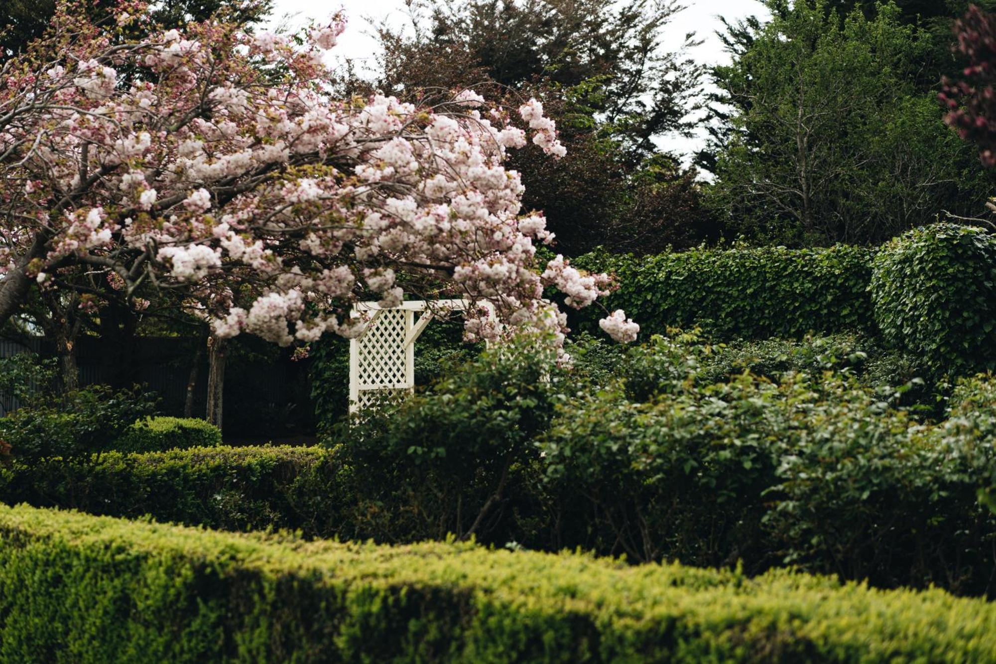 Brackenridge Country Retreat & Spa Martinborough Luaran gambar