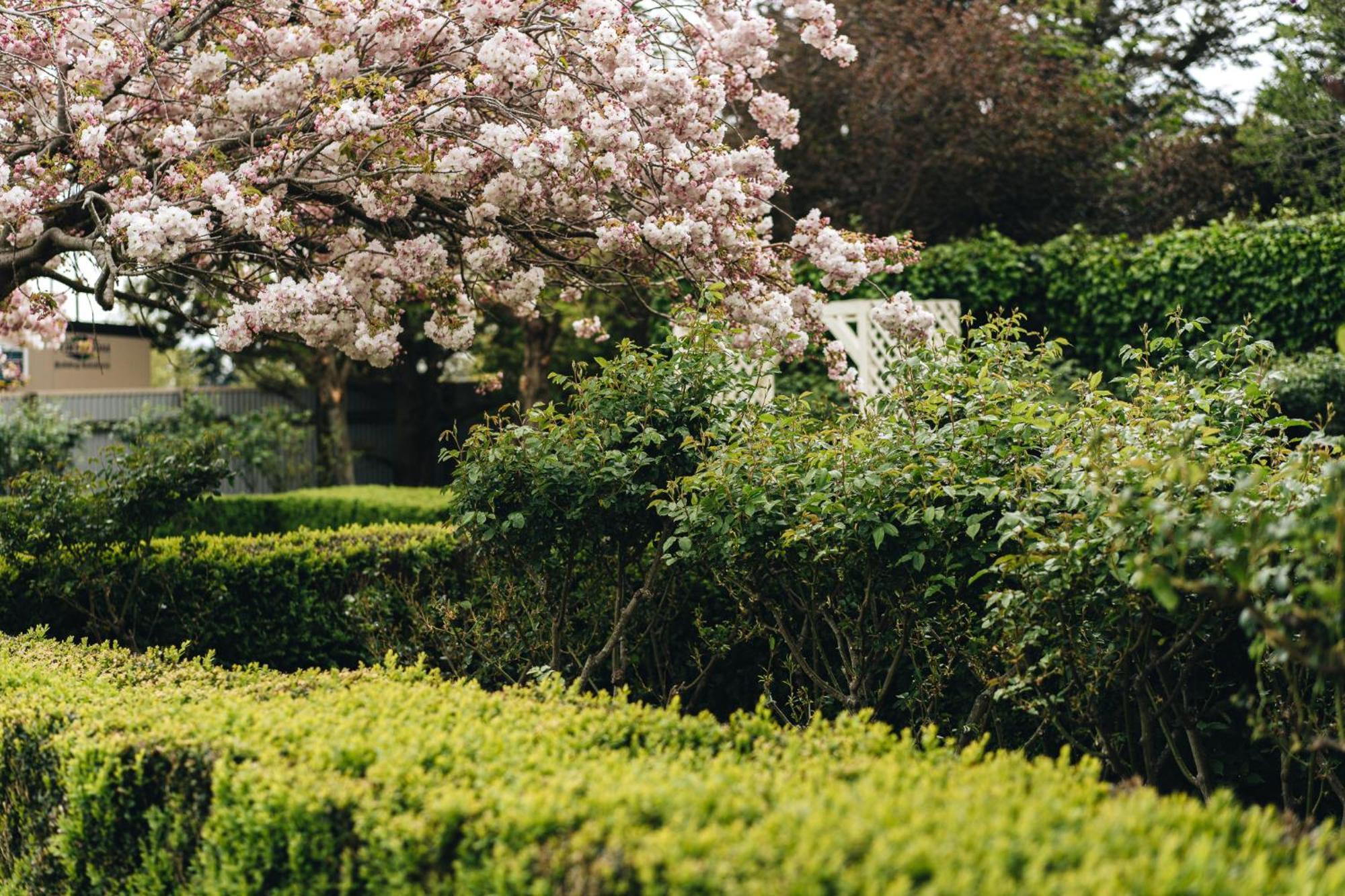 Brackenridge Country Retreat & Spa Martinborough Luaran gambar