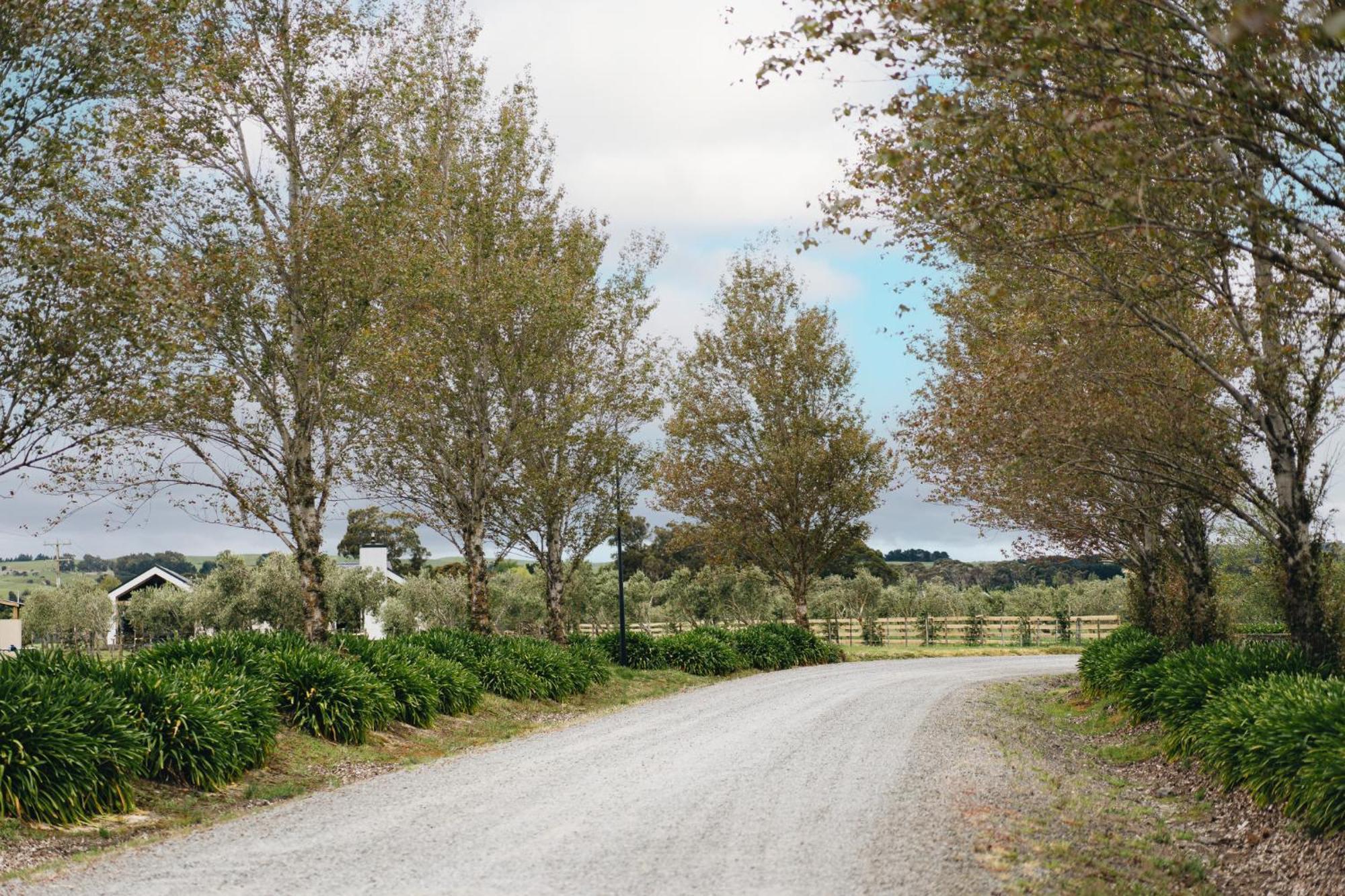 Brackenridge Country Retreat & Spa Martinborough Luaran gambar